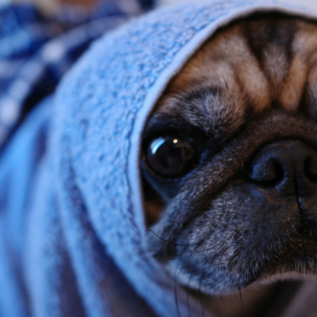 Time to Replace Your Distressed Bathrobe?