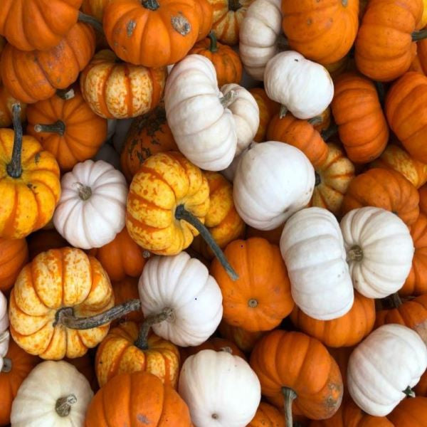 Bathrobes and Halloween